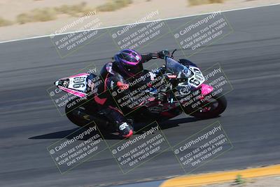 media/Apr-09-2023-SoCal Trackdays (Sun) [[333f347954]]/Turn 12 Inside (930am)/